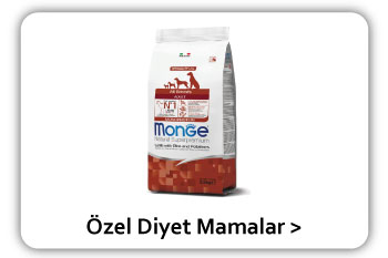 Deneme - 1