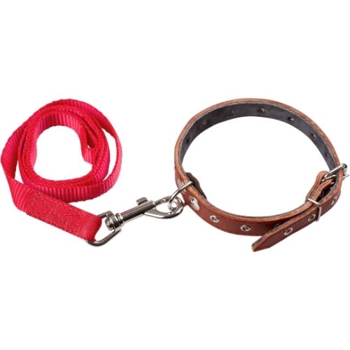 Köpek Tasmaları ve Aksesuarlar