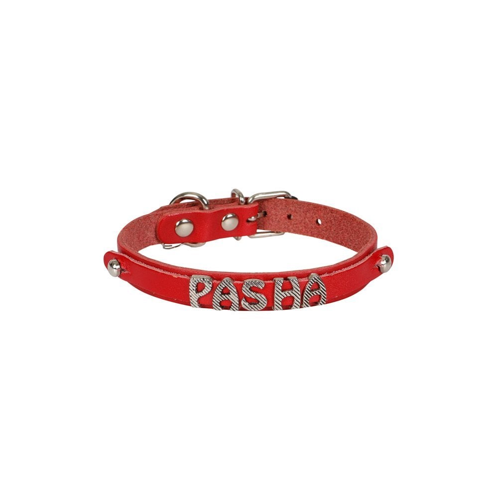 Cattie İsimlikli Deri Kedi Tasması 1.2x25-29cm (Kırmızı) Cattie İsimlikli Deri Kedi Tasması 1.2x25-29cm (Kırmızı)