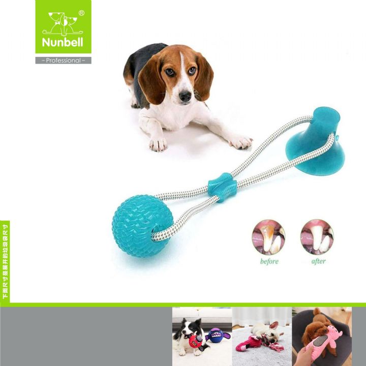 NUNBELL KÖPEK OYUN.VANTUZLU DİŞ İPİ