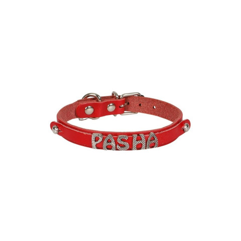 Cattie İsimlikli Deri Kedi Tasması 1.2x25-29cm (Kırmızı)