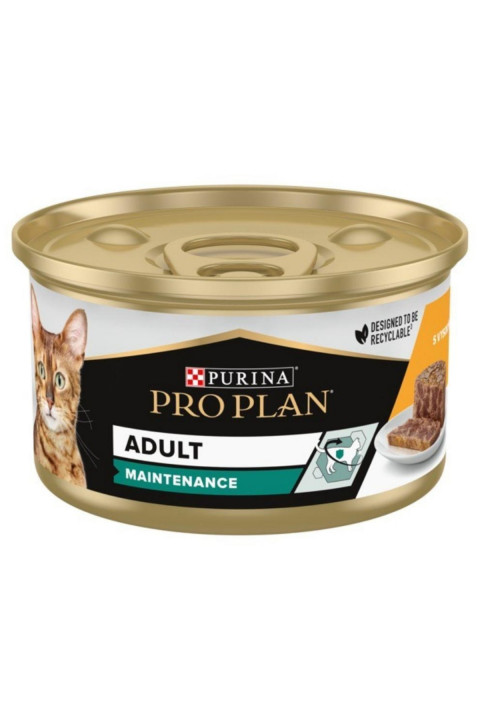Pro Plan Maintinance Tavuklu Kedi Konservesi 85 Gr